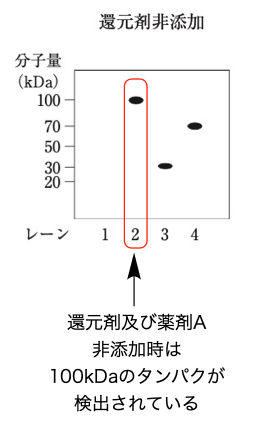 解説画像